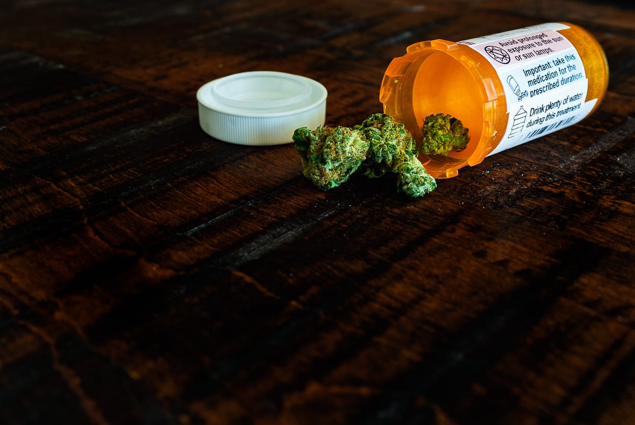 How Expensive Is Expired Inventory in the Cannabis Industry?