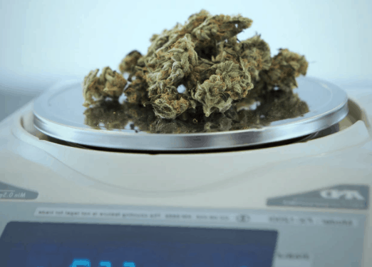 How much does it cost to open a recreational dispensary in Colorado?