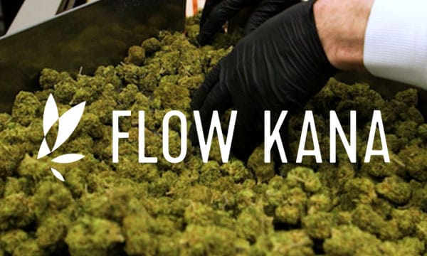 flow kana cannabis company marijuana grower network cannabis cultivators