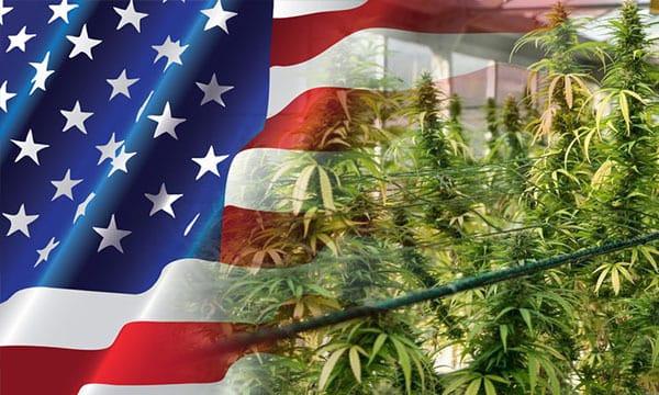 METRC: Marijuana Enforcement Tracking and Compliance Explained