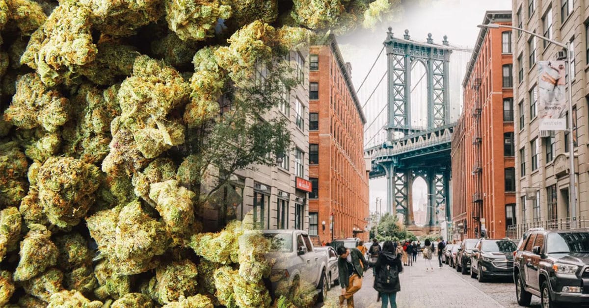 New York Marijuana Legalization: One of the Most Progressive Laws in America