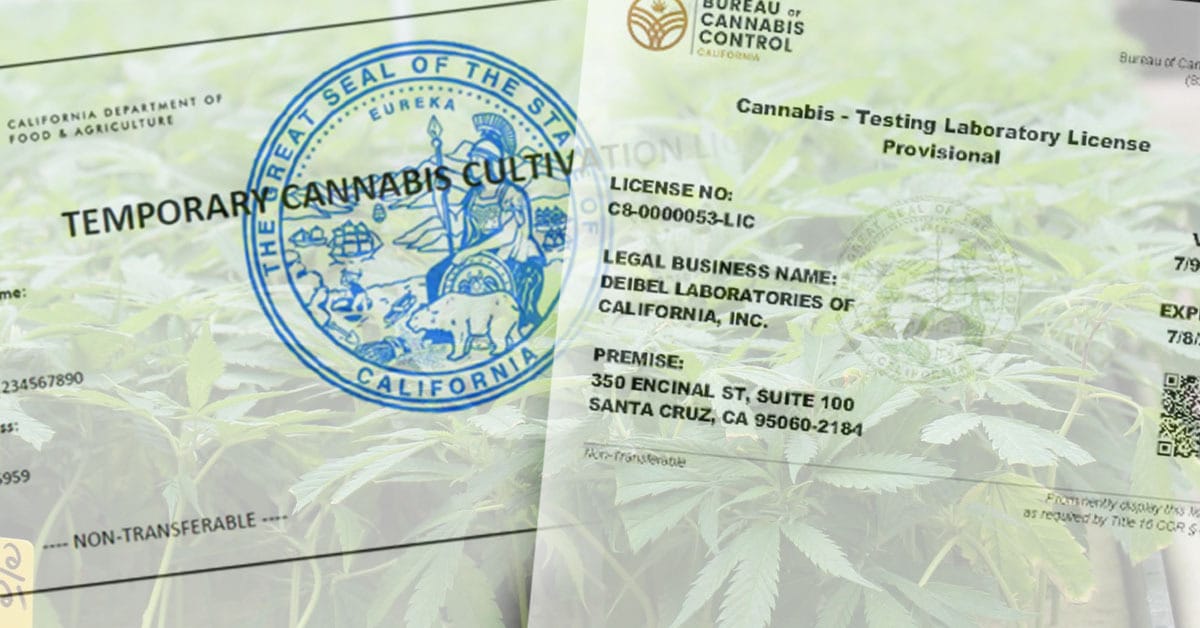 california cannabis license