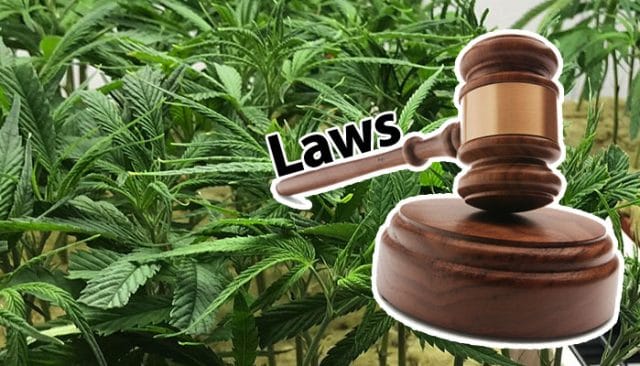 Legalization comes with laws.