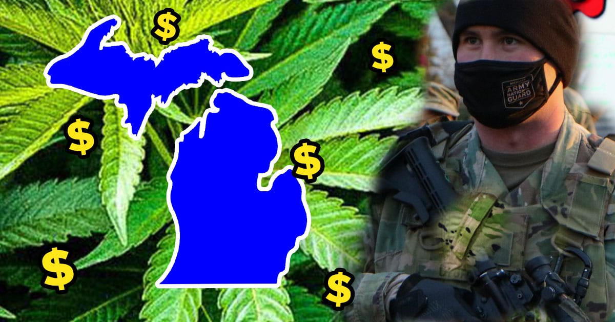 michigan marijuana insight veteran with michigan