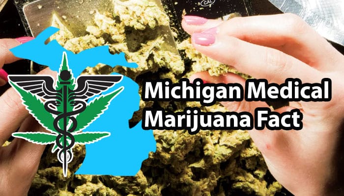 michigan medical marihuana facts