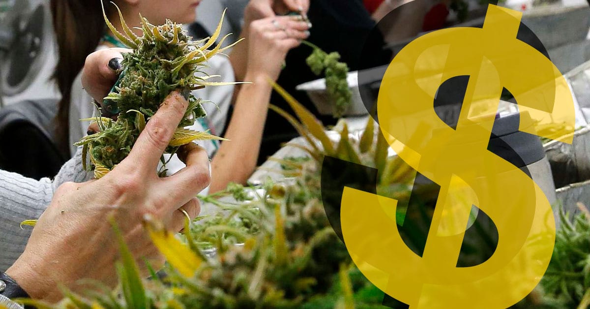 an alternative to the PPP for Cannabis businesses