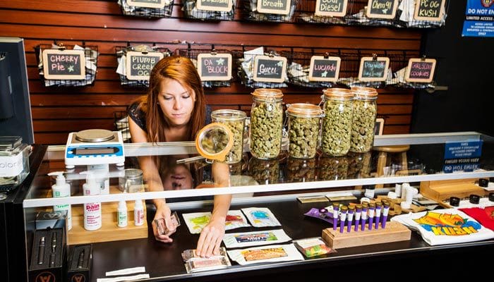 california department of cannabis control regulating dispensaries and more