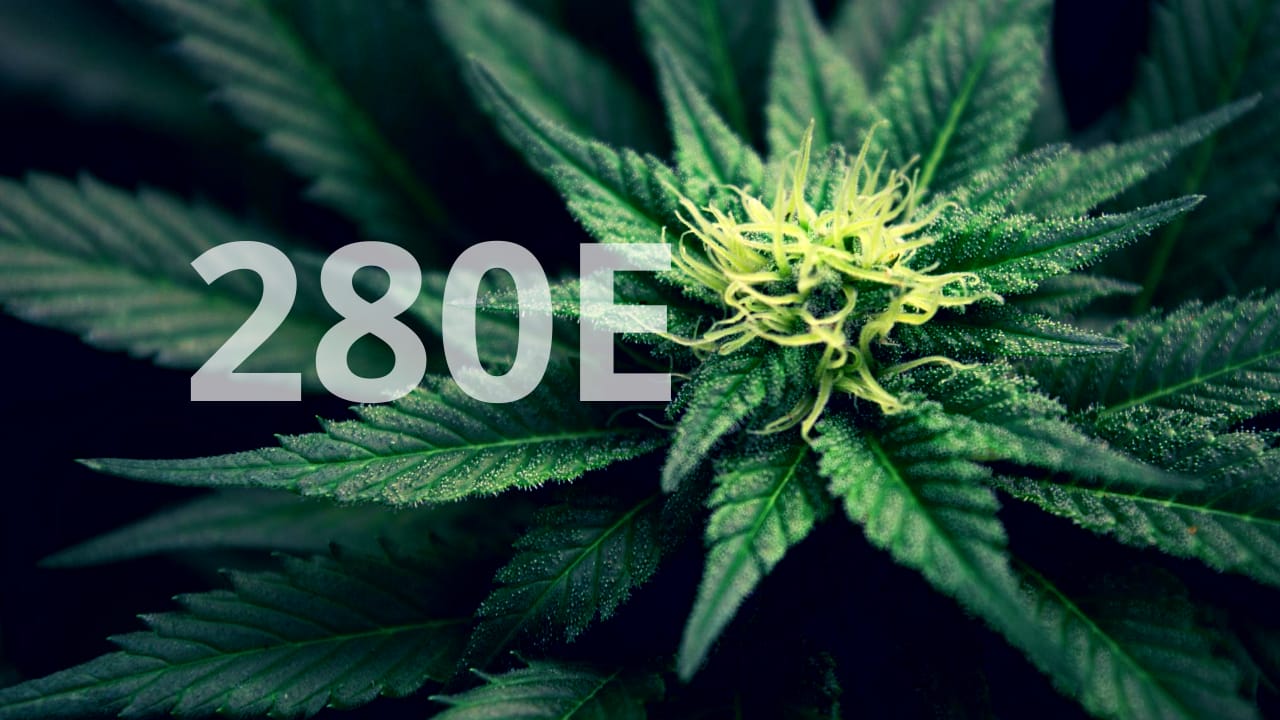 280e tax code for cannabis business