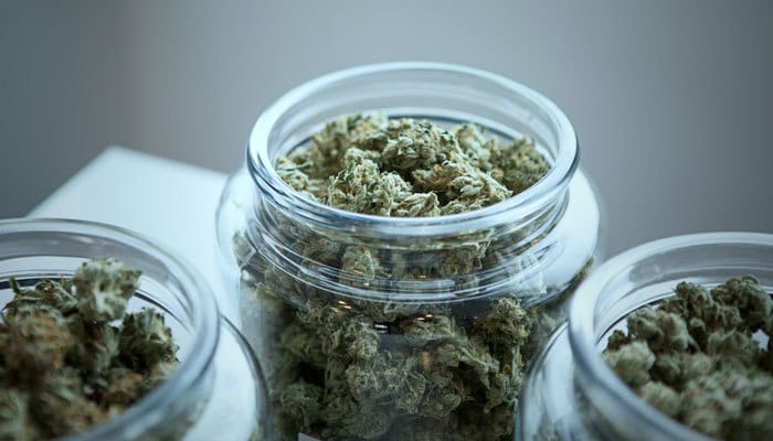 state legal cannabis dispensary 280e damages