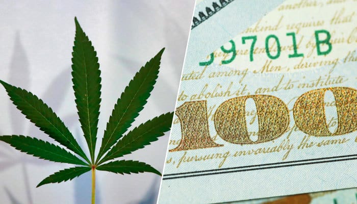cannabis and money