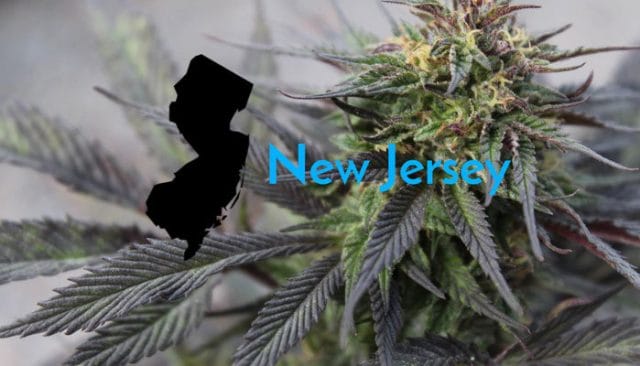 legalized cannabis plants in new jersey