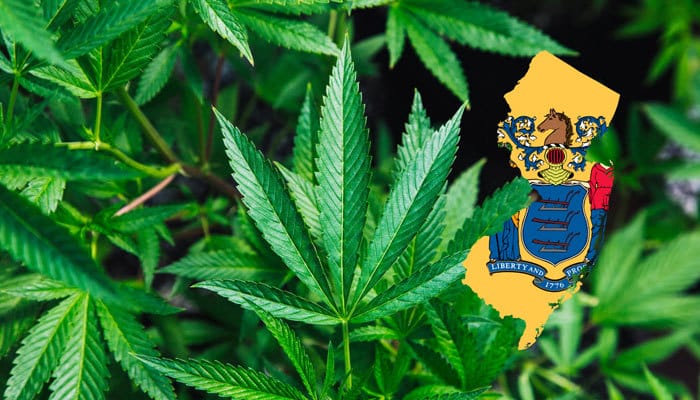 marijuana in new jersey legality