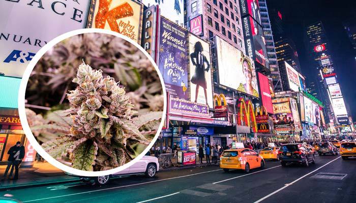Is Cannabis Legal in New York
