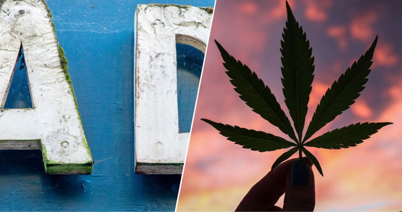 cannabis advertising