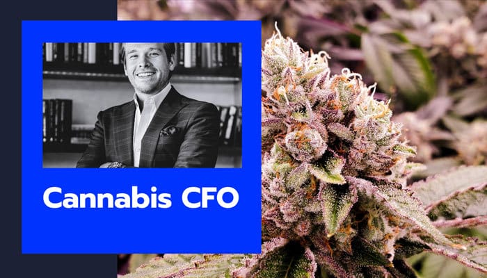 cannabis cfo