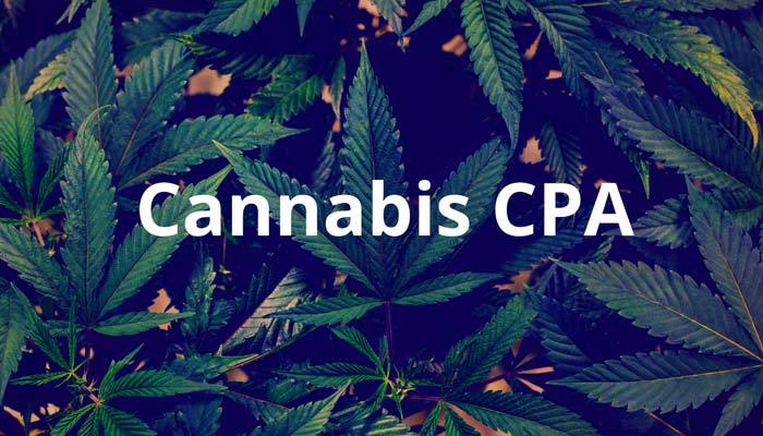 california cannabis cpa