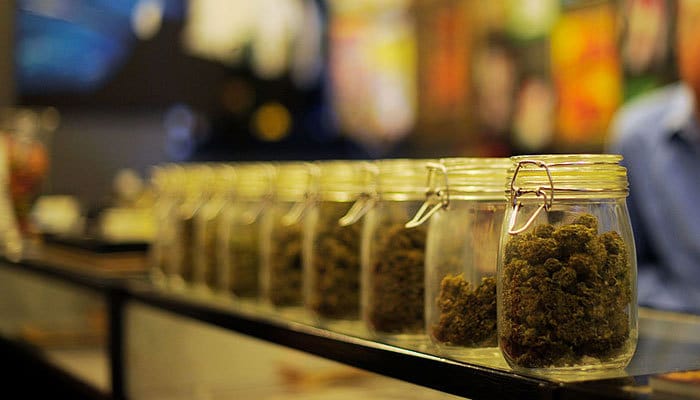 Cannabis Companies & Federal Law