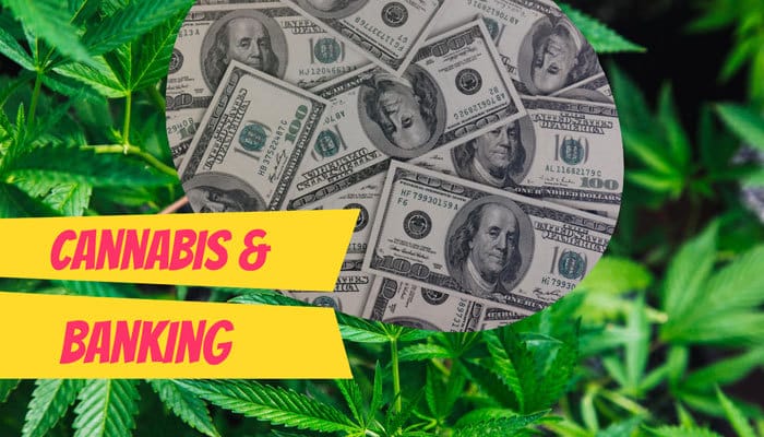 cannabis banking in california