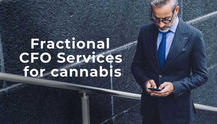 fractional cfo services for cannabis