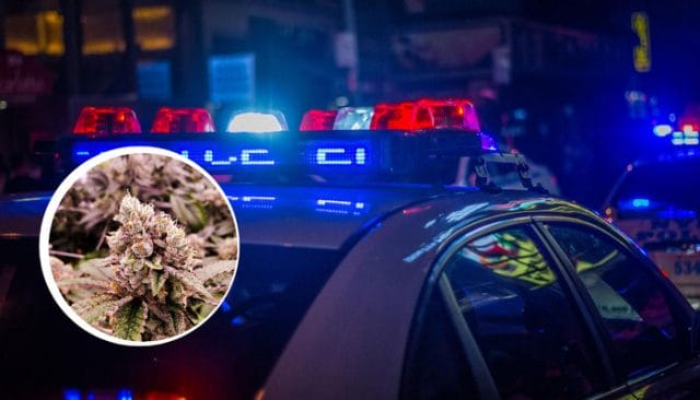 The Marijuana Regulation Mission in NY police lights