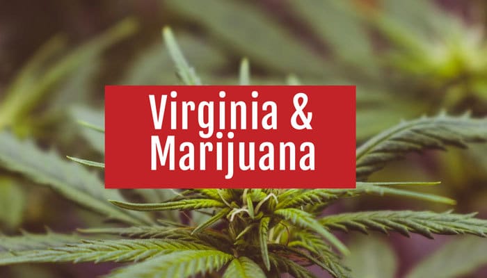 Virginia Marijuana Laws and legalization