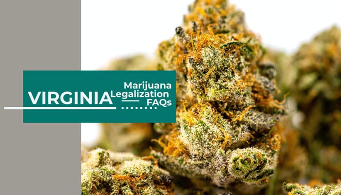 virginia marijuana legalization faqs