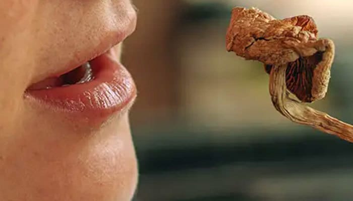 Is it legal to consume magic mushrooms? girl eating magic mushroom in dried form