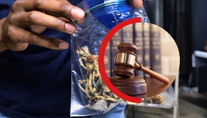 Psilocybin Mushrooms Legality