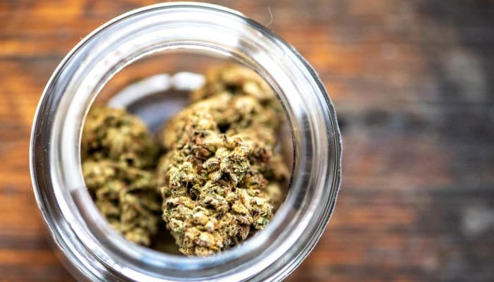 What Do Accountants Do to Know About Accounting in the Cannabis Industry?