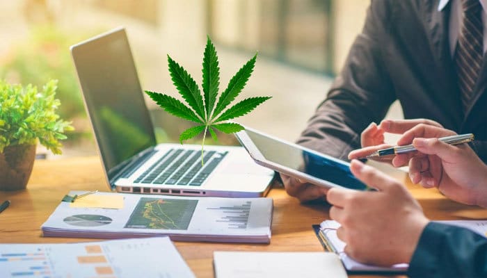 How to Choose a Cannabis CFO