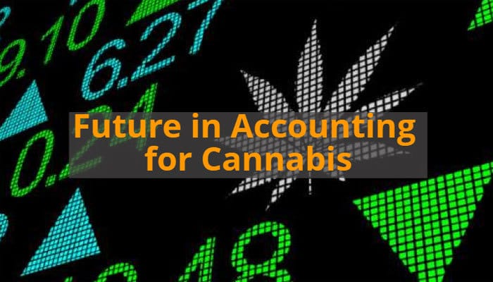 future in accounting fro cannabis